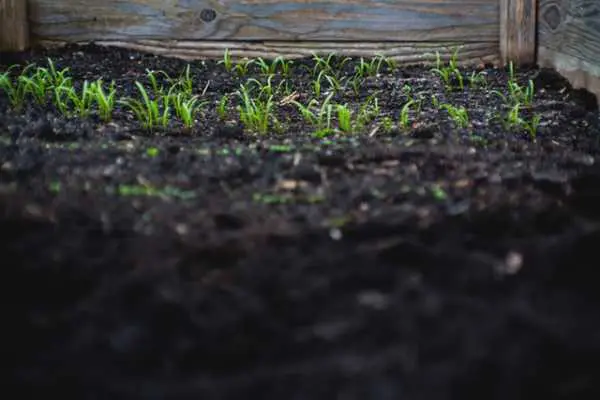 意外と知らない いらない土や植木鉢を捨てる6つの方法とは おかたづけろぐ